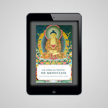 Load image into Gallery viewer, Un Ghid Autentic de Meditație