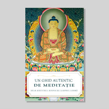 Load image into Gallery viewer, Un Ghid Autentic de Meditație