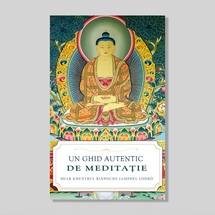 Un Ghid Autentic de Meditație