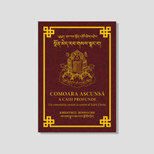 Load image into Gallery viewer, Comoara ascunsă a Căii Profunde: Un comentariu pas cu pas al practicilor preliminare Kalachakra