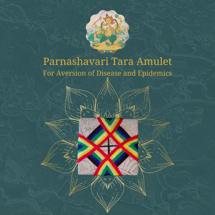 Amulet / Talisman - Parnishavari Tara, Eliminator of Diseases