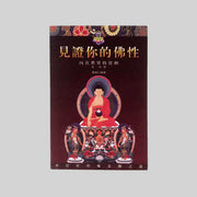 《見證你的佛性》卷二 內在世界的實相 第一册