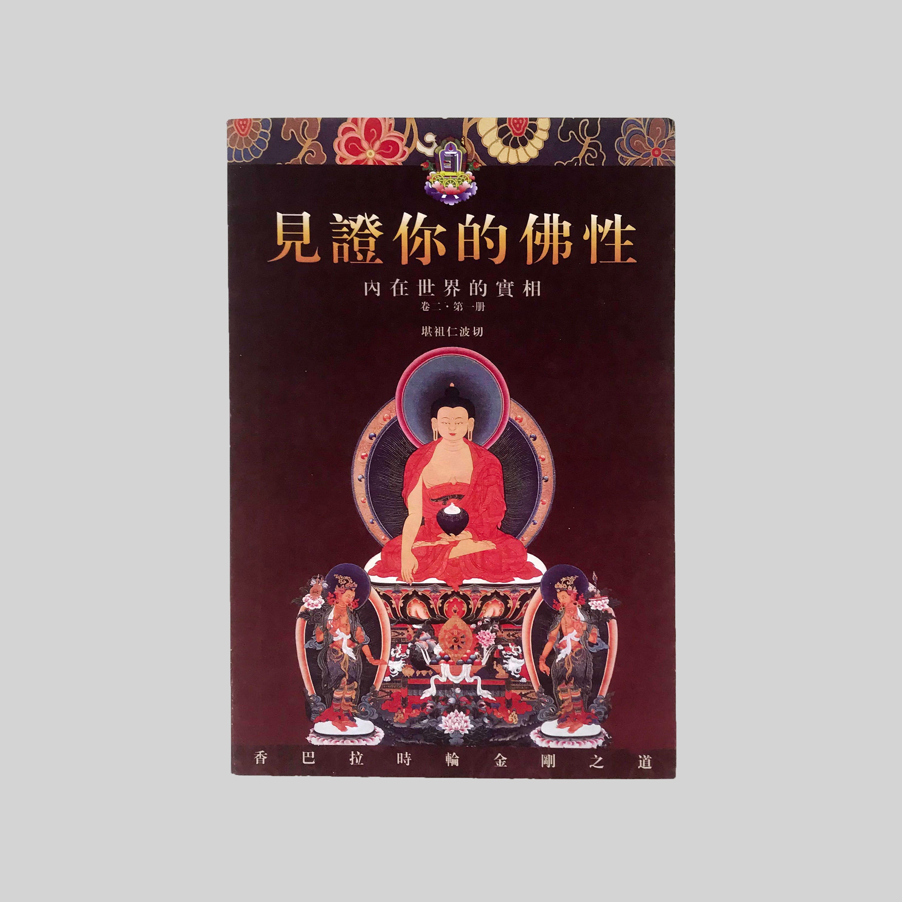 《見證你的佛性》卷二 內在世界的實相 第一册