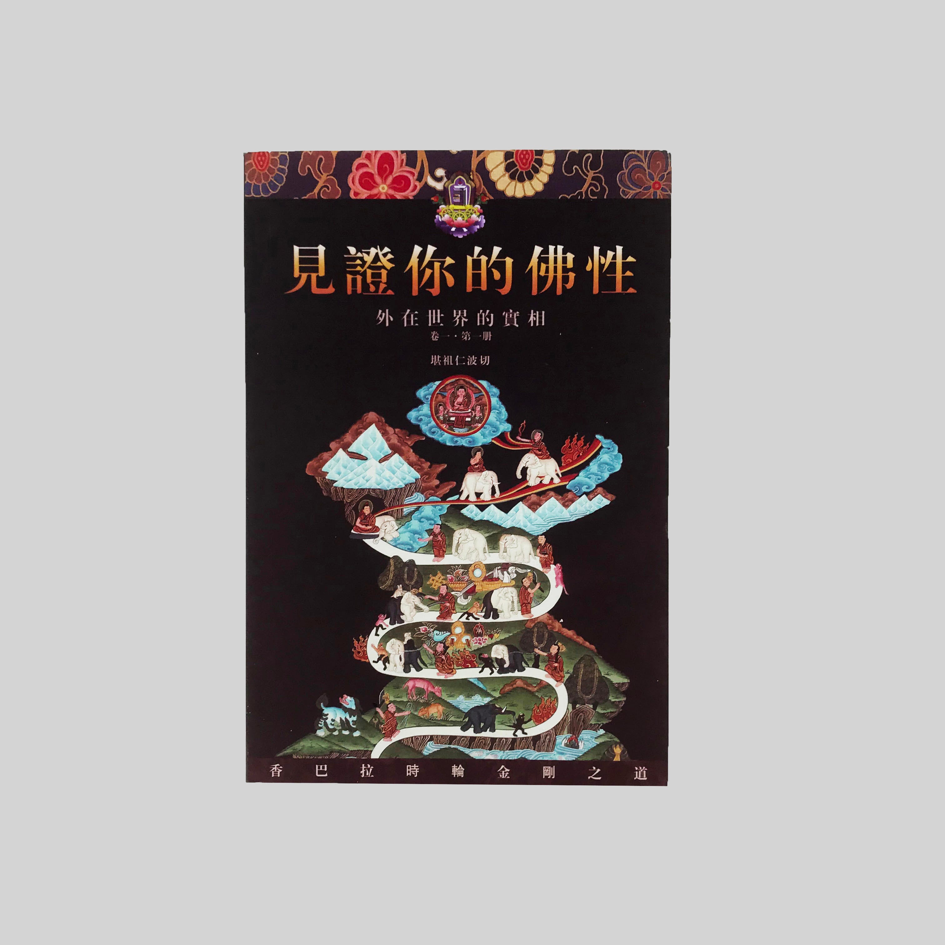 《見證你的佛性》卷一 外在世界的實相 第一册